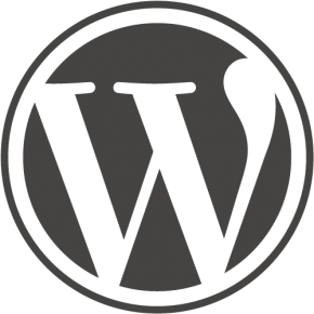 WordPress 3.1